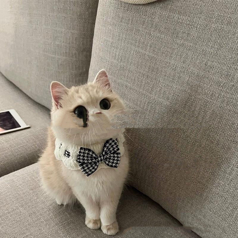 Winter Knitted Pet Collar And Neck