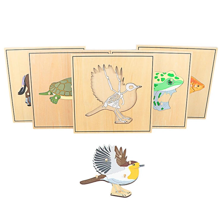 Children Educational Toys Montessori Materials Biology Wooden Skeleton Puzzle Frog Horse Tortiose Fish Bird Animal Toys for Boy