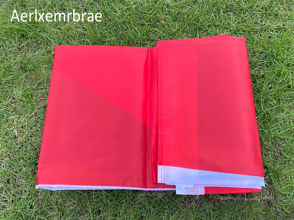 aerlxemrbrae flag  90*150cm  Czech Flag Hanging Polyester National Flag of Czech Republic flag