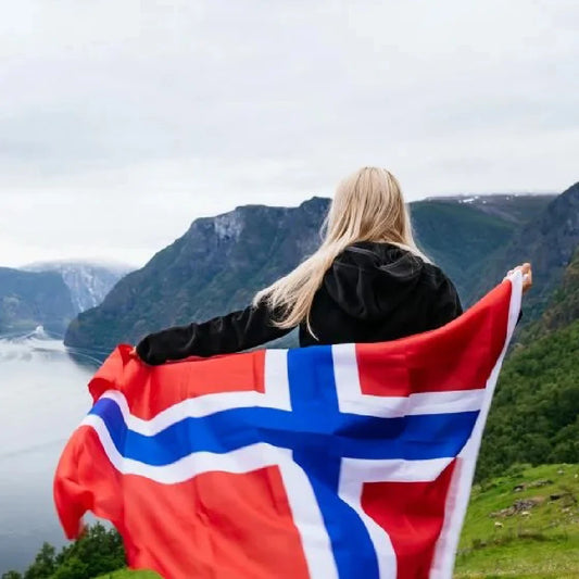 Norway Flag 90x150cm Hanging Norwegian Flag Polyester standard Flag Banner